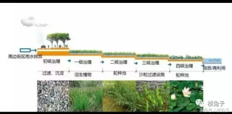 8亿！前海桂湾“绿芯”公园施工招标！见证前海速度的时刻到了！