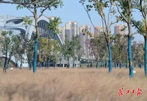 8个项目签约落地长江新城 总签约额194亿元