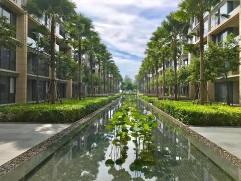 入驻Ohome做省心房东：泰国公寓躺着收租，独家专享14天免费度假