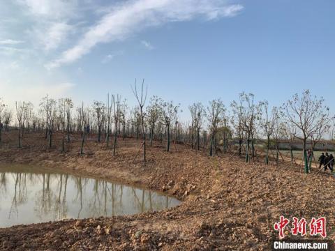 武汉将启动21个绿化项目 瞄准长江两岸做“绿文章”