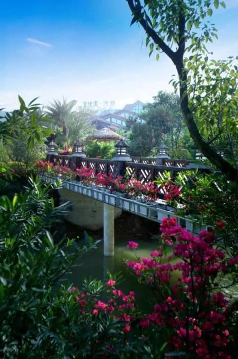 广东惠州一顶级酒店开业！奢华成都比肩悦榕庄，坐拥水杉湿地公园