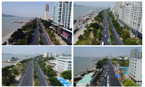 海滨路将拆除中央绿化带，增设潮汐车道和公交优先道，今年底完成！