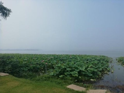 端午节小长假，武汉东湖绿道成热门旅游地，人少风景美