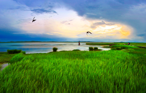 湿地旁的健康乐土,滨海恒大文化旅游城“氧”你一辈子