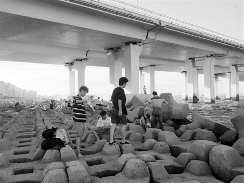 东海岸网红桥下成休闲胜地,市民呼吁相关部门增加配套设施