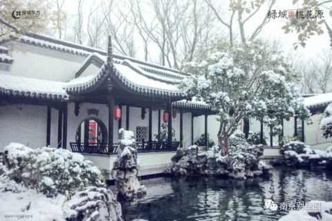 古今中外的对话！南京人更爱欧式别墅还是中式合院？