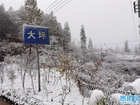 来了来了!贵州遵义、铜仁多地迎今冬首场降雪