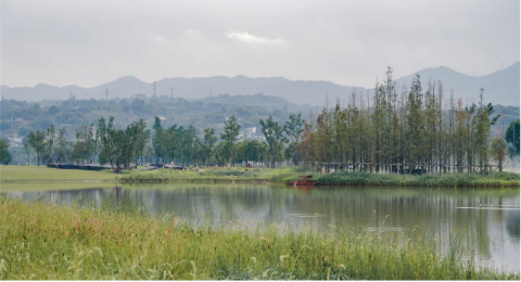 依托广阳岛绿色发展示范基地，长乐雅颂构筑绿色生态人居典范